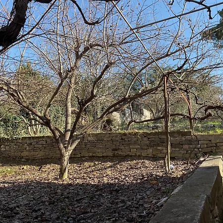 빌라 Garden Near Osum Canyon & Cooking Experience *