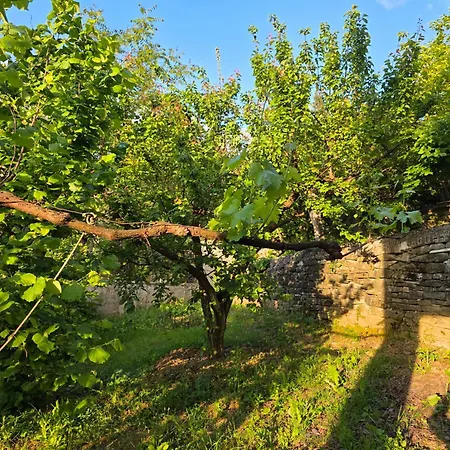Garden Near Osum Canyon & Cooking Experience 빌라