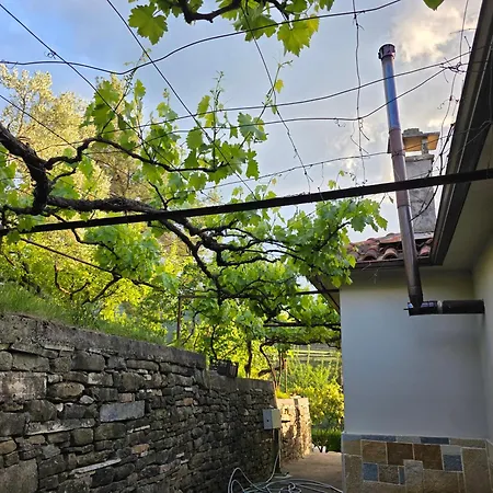 Garden Near Osum Canyon & Cooking Experience Zhaban