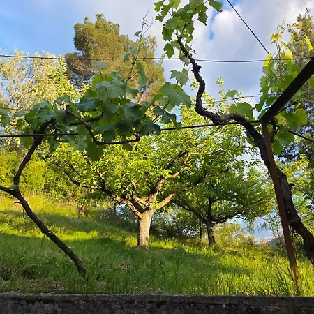Garden Near Osum Canyon & Cooking Experience