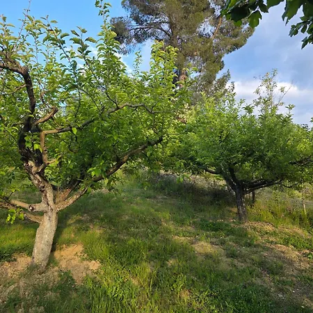 Garden Near Osum Canyon & Cooking Experience
