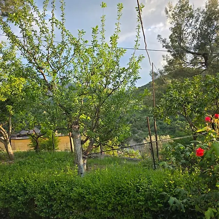 빌라 Garden Near Osum Canyon & Cooking Experience *
