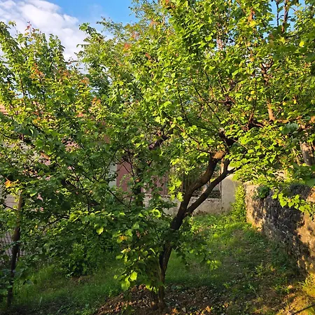 빌라 Garden Near Osum Canyon & Cooking Experience *