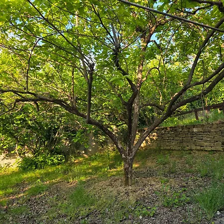 빌라 Garden Near Osum Canyon & Cooking Experience *