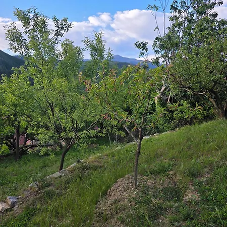 Garden Near Osum Canyon & Cooking Experience Zhaban