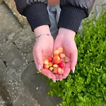 Garden Near Osum Canyon & Cooking Experience ヴィラ *