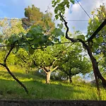 Garden Near Osum Canyon & Cooking Experience