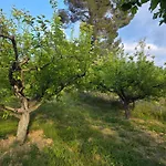 Garden Near Osum Canyon & Cooking Experience
