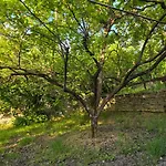 ヴィラ Garden Near Osum Canyon & Cooking Experience *